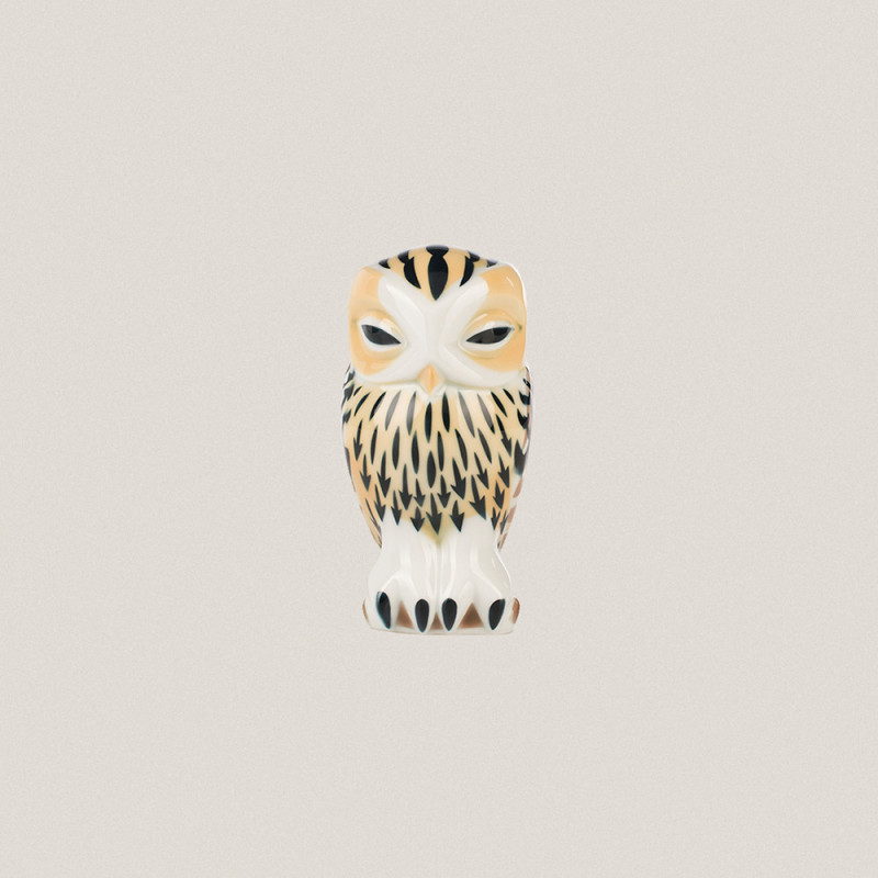 Tawny Owl