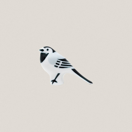 White Wagtail