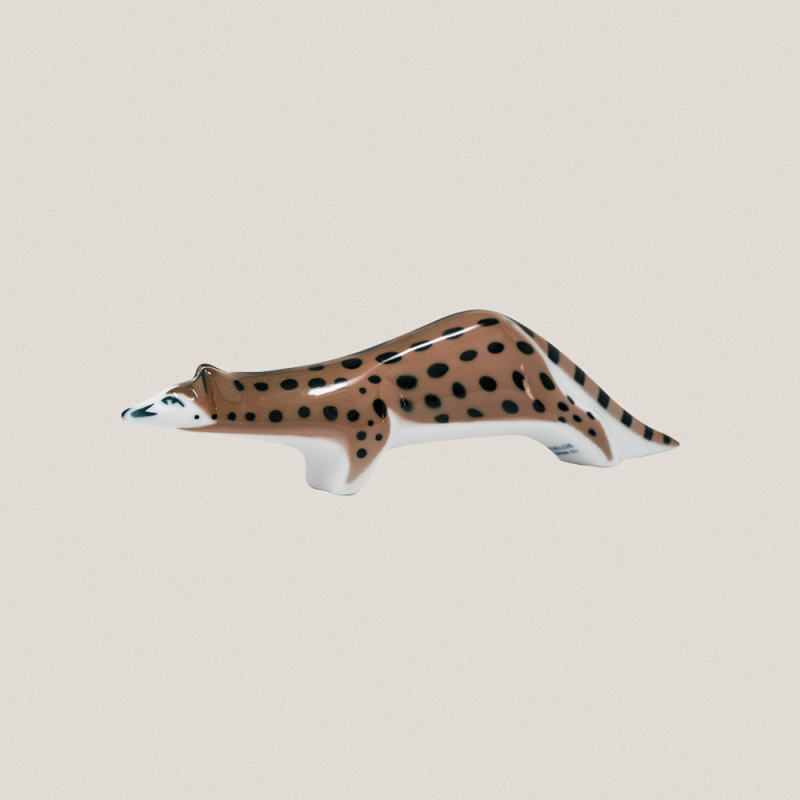 Civet Cat 2