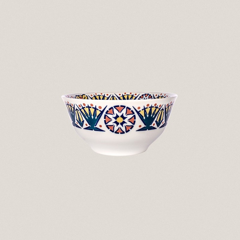 Salad Bowl Toxo Color